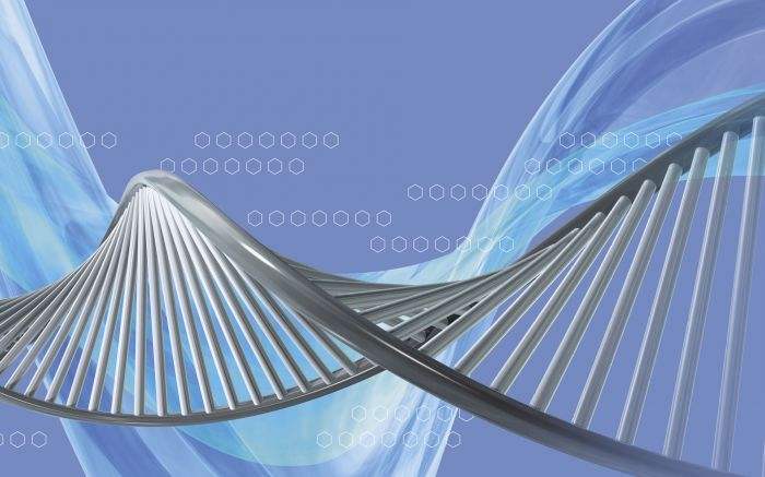 好教育格局与智慧,好教育的重要标准是哪些