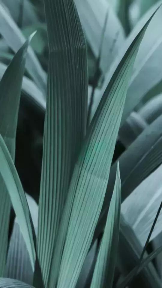 摄影色彩的处理的基本规则,摄影光线和颜色