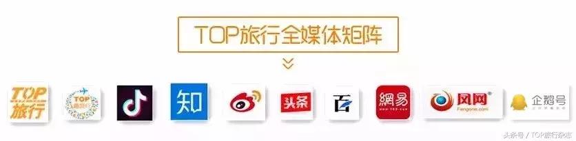 开着车到野外然后看见大象在迁徙,开着皮卡车去寻宝