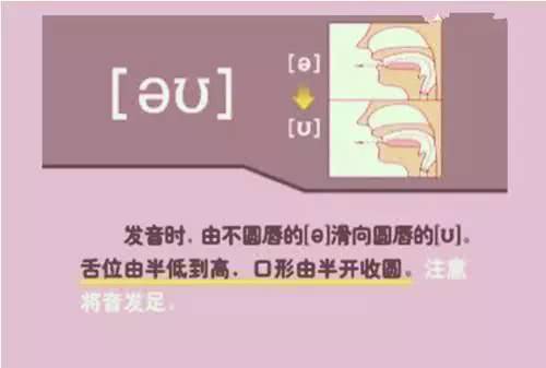 英语48个音标发音详细教程,英语48个音标的正确发音和技巧