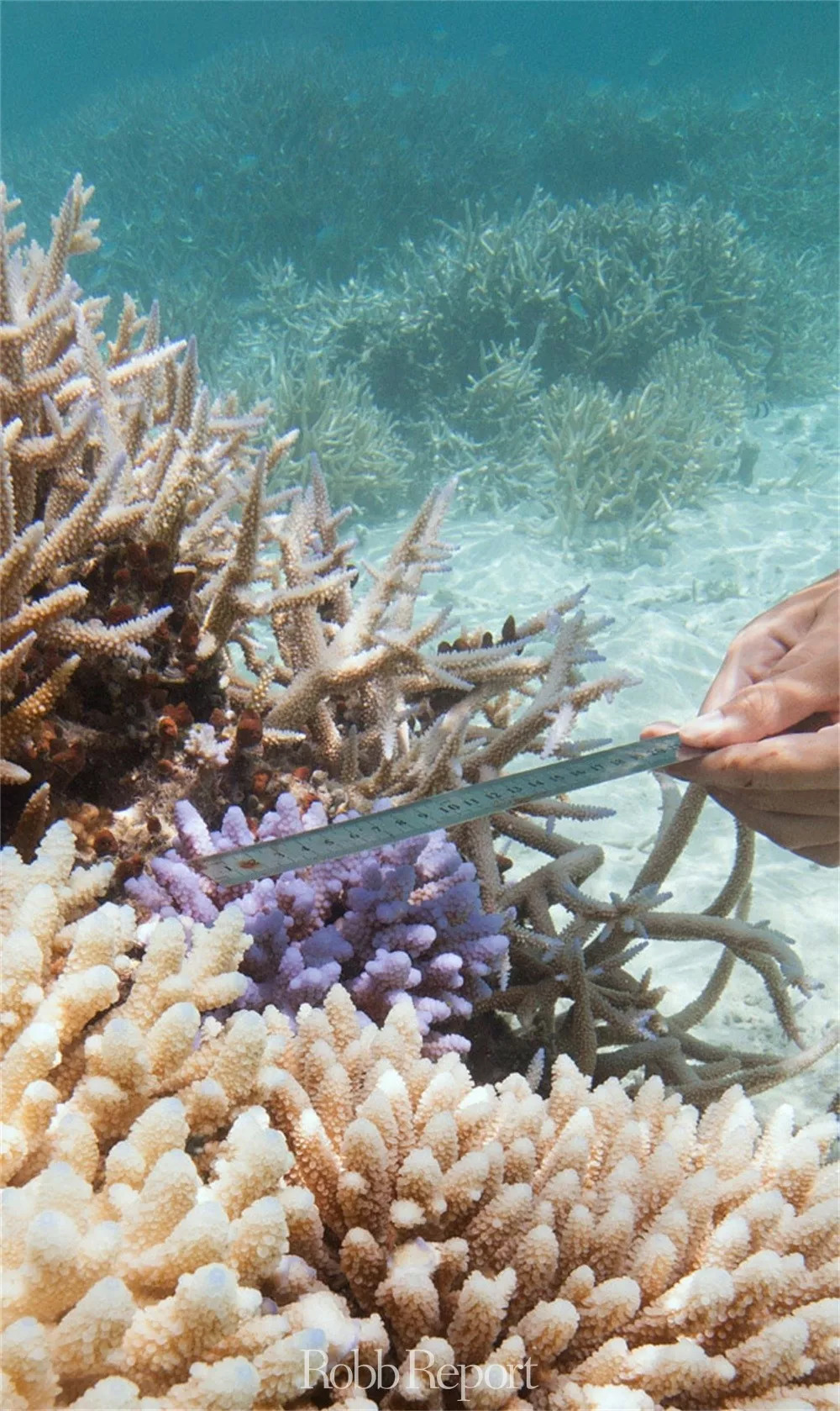 带你看世界的酒店,东方甄选看世界酒店