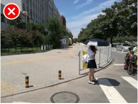 「交通看点」建设“完整林荫道”——步行和自行车交通环境设计建设图集亮点介绍（一）