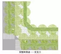 「交通看点」建设“完整林荫道”——步行和自行车交通环境设计建设图集亮点介绍（一）