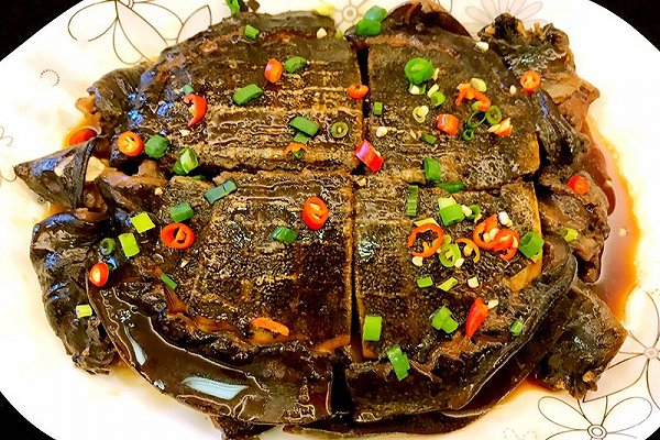 冬天甲鱼怎么样放才不死,这个季节甲鱼适合怎么吃
