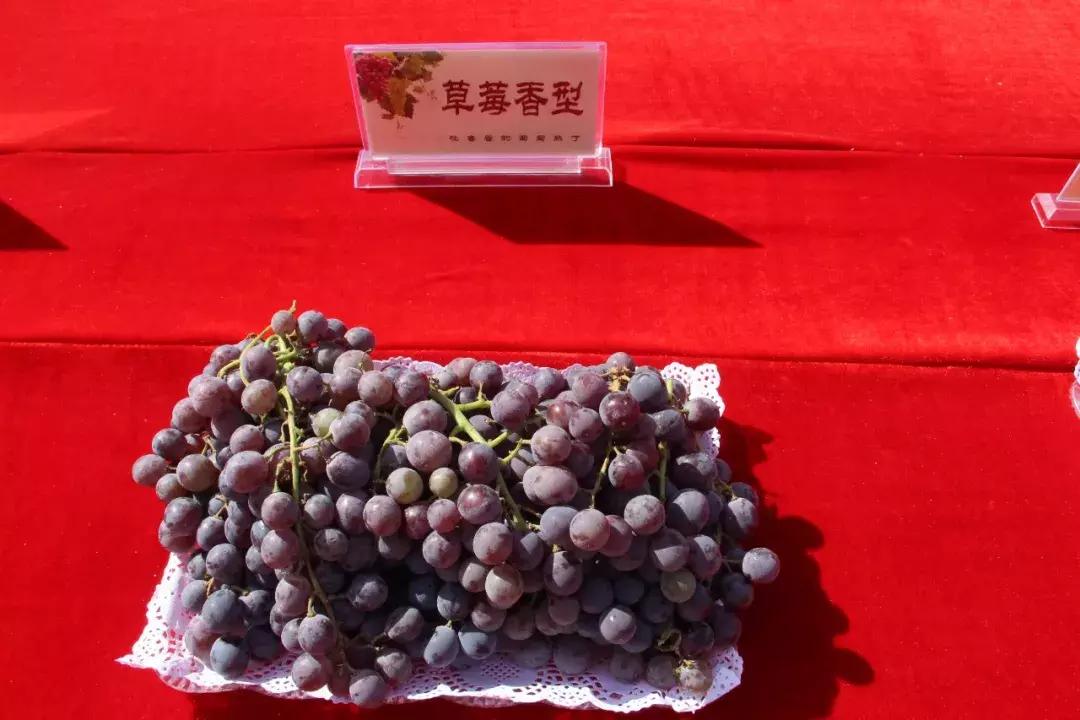 吃得明白看着糊涂,吃得明白看着糊涂心里清楚