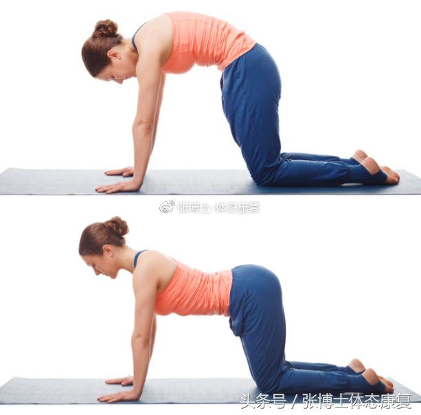「运动康复科普」宝妈们看过来,产后腹直肌分离的康复训练