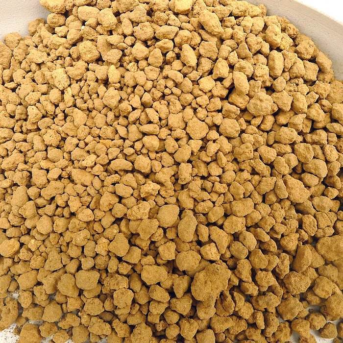 老桩群生多肉买什么颗粒土,多肉怎么养出粗壮的老桩呢