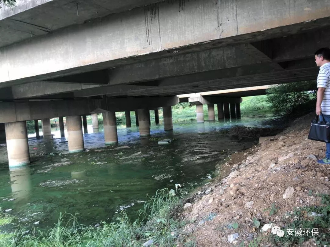 铜陵环保督察组,环保督察组对淮南市的督察结果