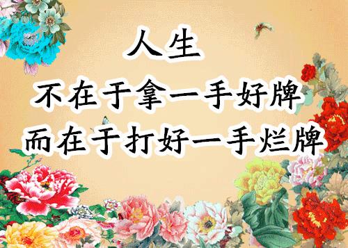 会动的照片大全,会动的11张图片