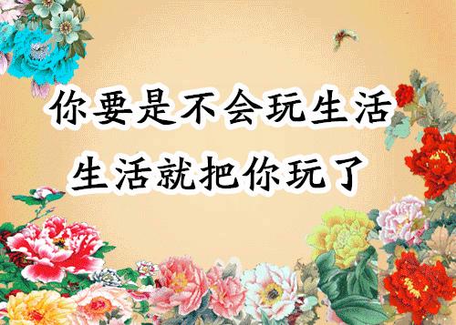 会动的照片大全,会动的11张图片