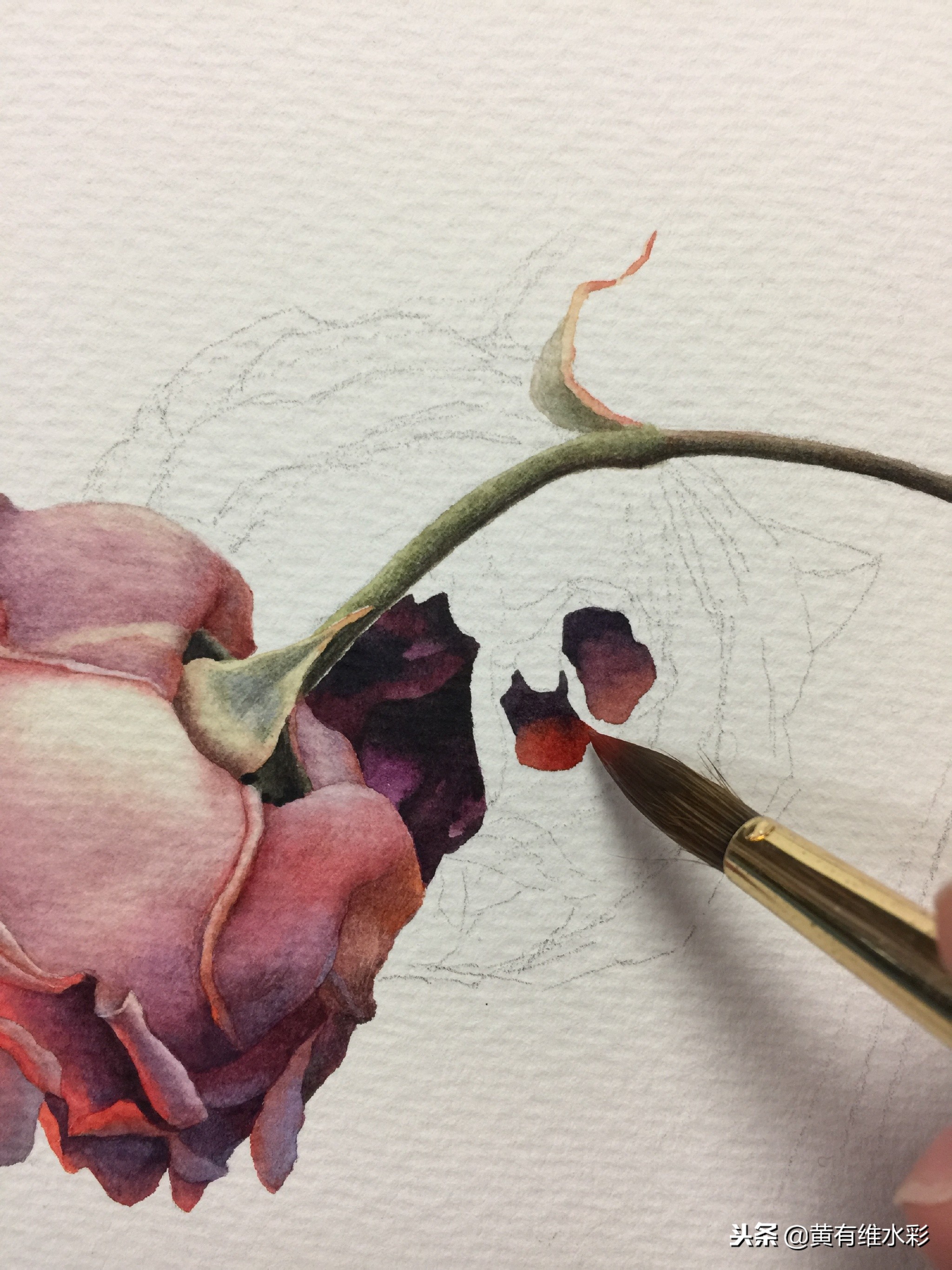水彩教程简单好看手绘图片,水彩教程画花