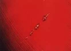 泰国红宝石青柚果怎样识别真假,红宝石电容真假辨别最简单方法