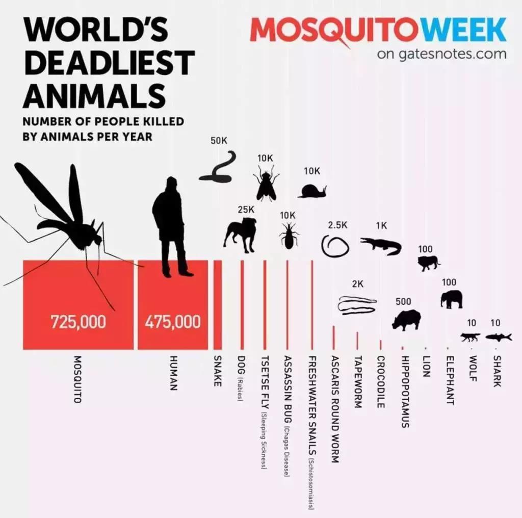 为什么秋天的蚊子咬人最厉害,被秋天的蚊子咬了