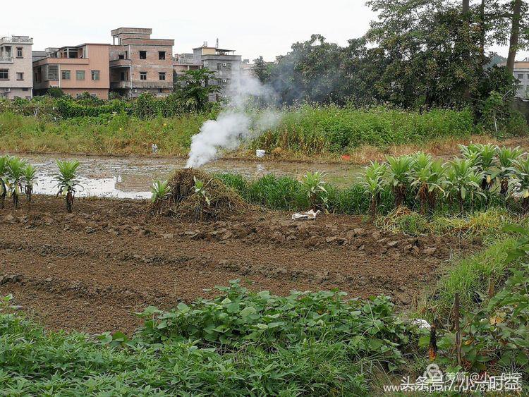 故人具鸡黍邀我至田家邀的意思,故人具鸡黍邀我至田家什么意思