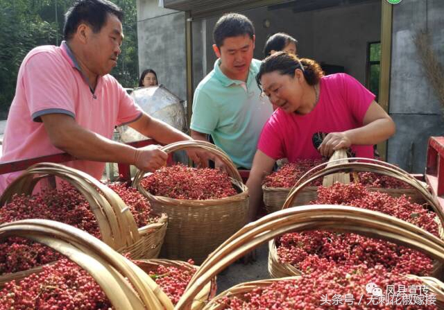 花椒35一斤便宜吗 (花椒150块一公斤)