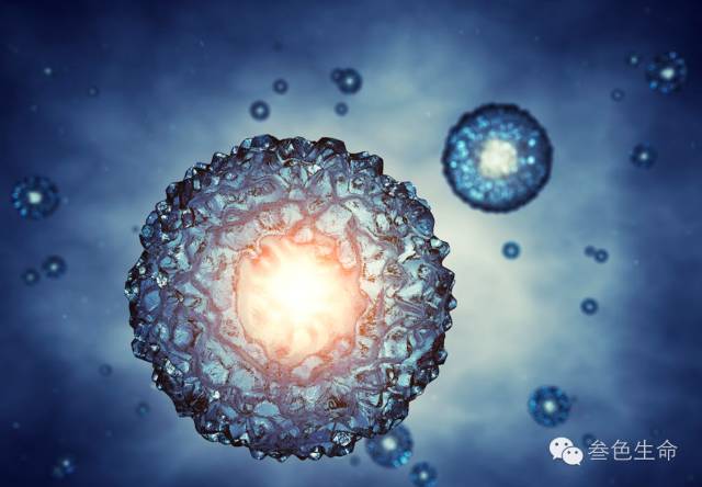 鲜活细胞原理是什么,鲜活细胞外泌体你了解多少