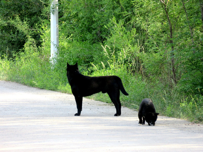 司马台长城聚仙楼在古北水镇吗,司马台长城仙女楼是几号楼