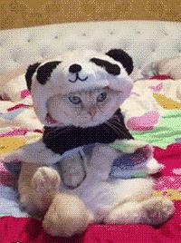 王艳贾静雯高圆圆演的电视剧,王艳霍思燕贾静雯古装照