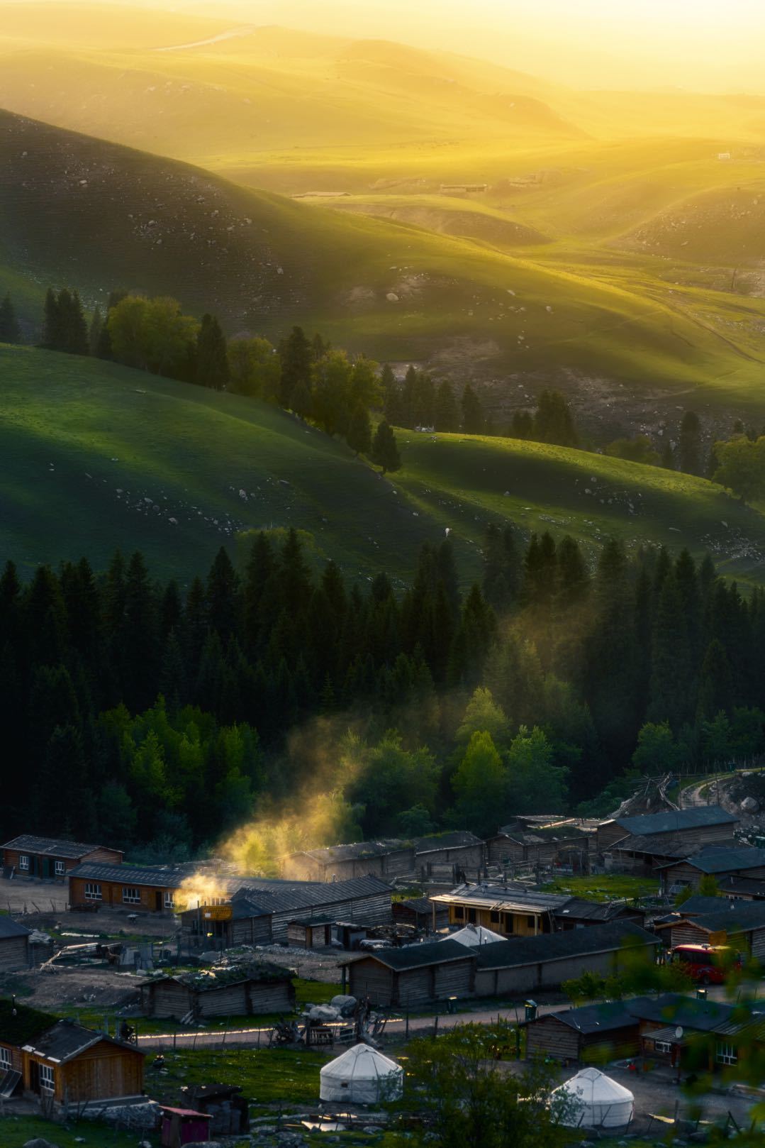 一次偶然，铸就永恒，十年驴龄的他“长存”于此-乌孙驴行记