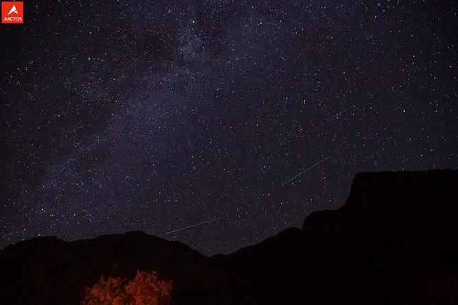 一次偶然，铸就永恒，十年驴龄的他“长存”于此-乌孙驴行记
