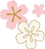 10号线一周年｜芙蓉花开，走进10号线绽放的365天