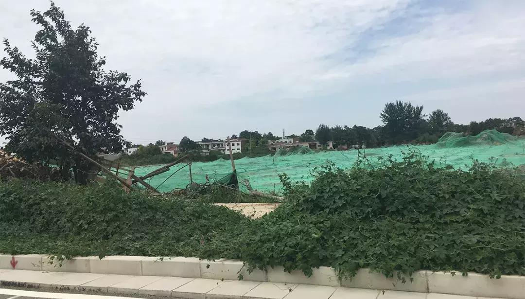 9号线地铁口现房多少钱一平方,地铁口9字头新盘