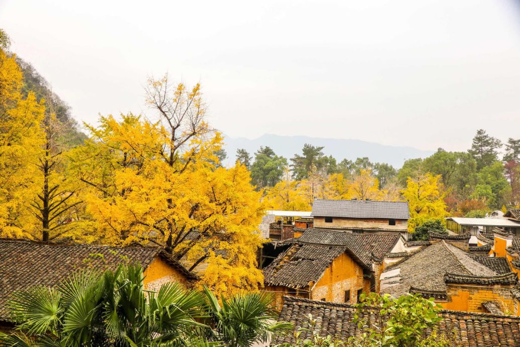 这些绝美小黄片,已经陆续在全国上线,找个时间去扫黄吧