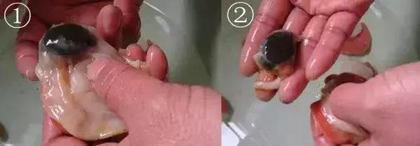 开海了！抖音上的小姐姐，来烟台吧！海鲜管够……