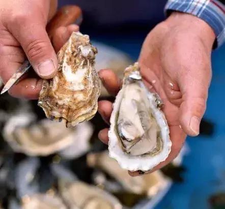 开海了！抖音上的小姐姐，来烟台吧！海鲜管够……