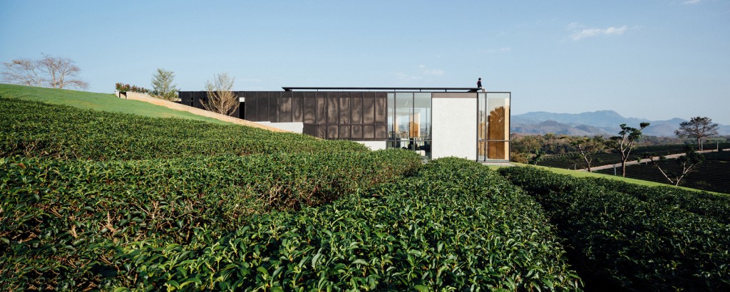 植于遍山茶树间茶馆──泰国翠峰ChouiFong