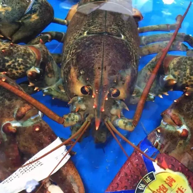 路边买海鲜被坑,外地游客去买海鲜后续