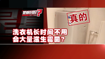 洗衣机长期不洗霉菌,洗衣机放在潮湿的环境有霉菌