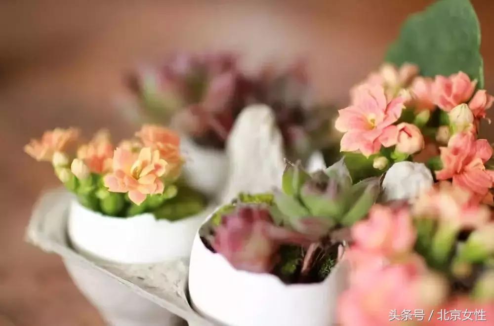 乐活赚钱快吗,乐活赚钱安全吗