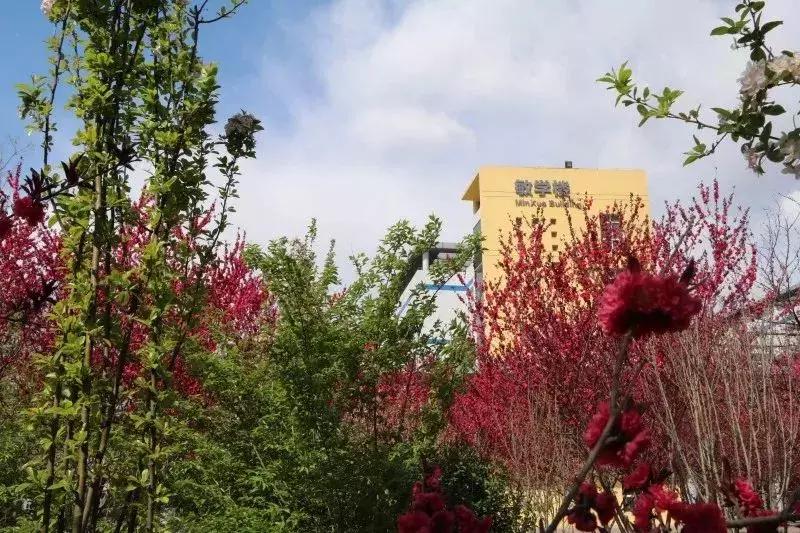 石家庄二中现在实力如何,石家庄二中全面介绍