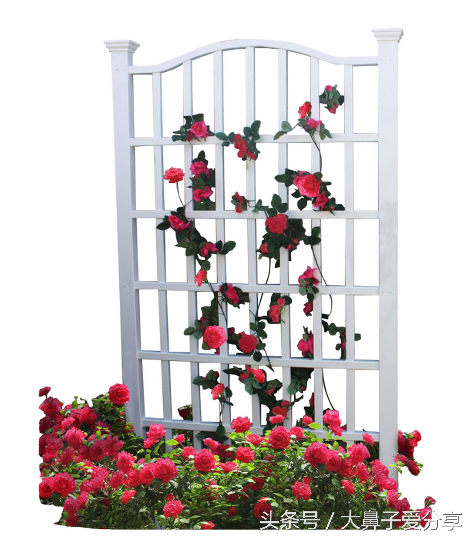 花架户外庭院多层2000cm,庭院花架放哪里最好