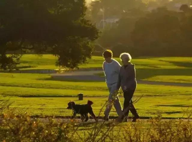 “守时”是最好的胃药!这张养胃时间表,有胃病的人都该学一学