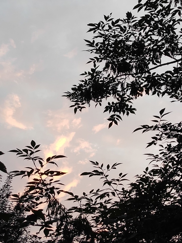 儿童秽语症初期症状,秽语症发作视频