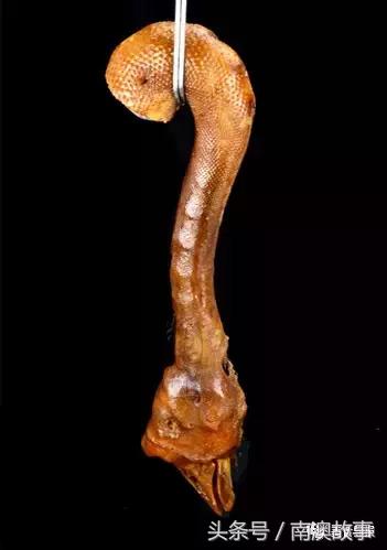 潮汕人眼中的广东图,潮汕人的菜图片大全