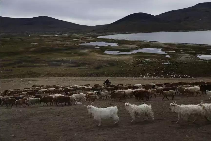 “村官”阿曼古丽一年收到近百辆摩托