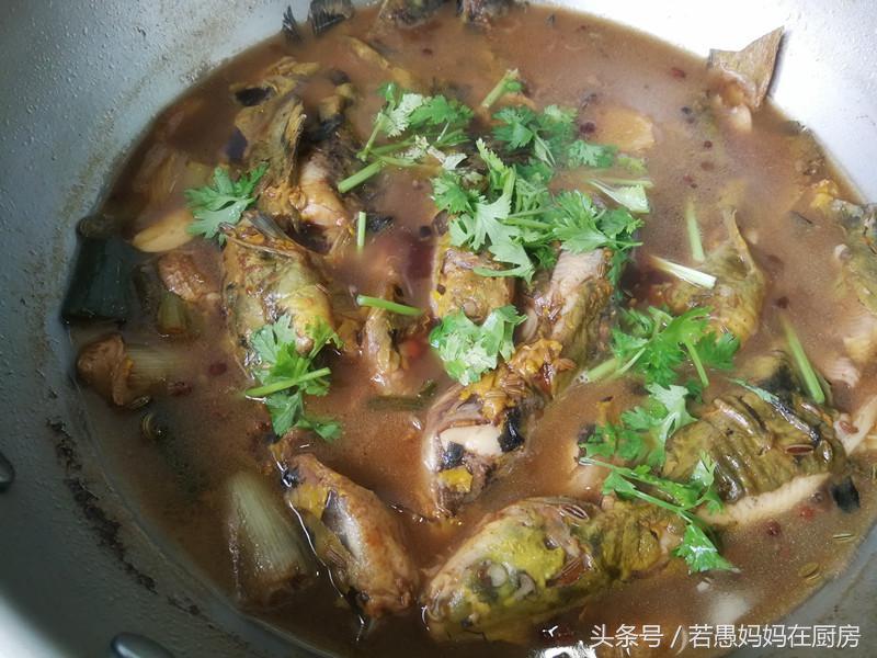 都说鱼好吃但这5种人最好少吃,都说鱼有寄生虫那到底能不能吃呢