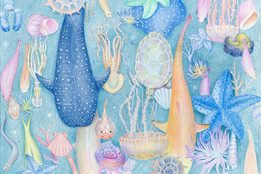 凡尔纳海底两万里的简介,《海底两万里》最绮丽的海底风光