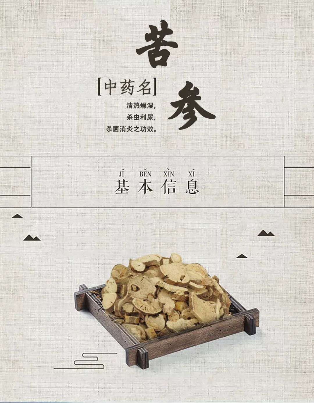 「百草园」那些“悬壶济世”的植物(七十三)苦参