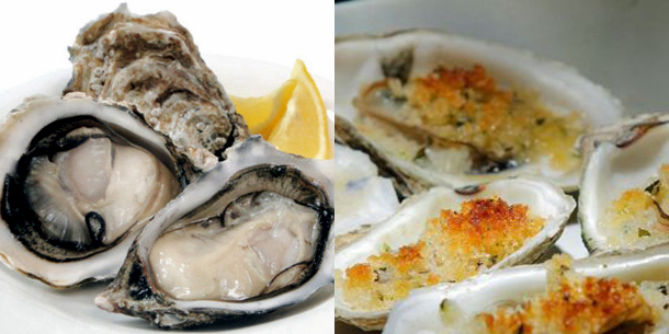 海边贝类种类,各种贝类的名称