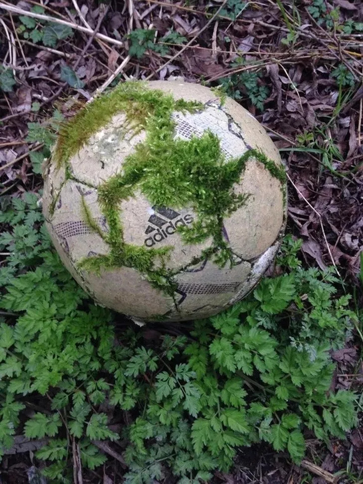 刷爆朋友圈的“光阴照”：那些坚不可摧的，最后都敌不过时间