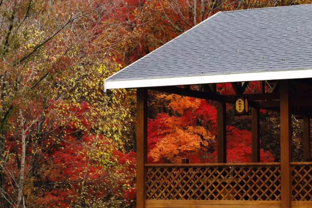 柳河旅游节在哪里,柳河县旅游节