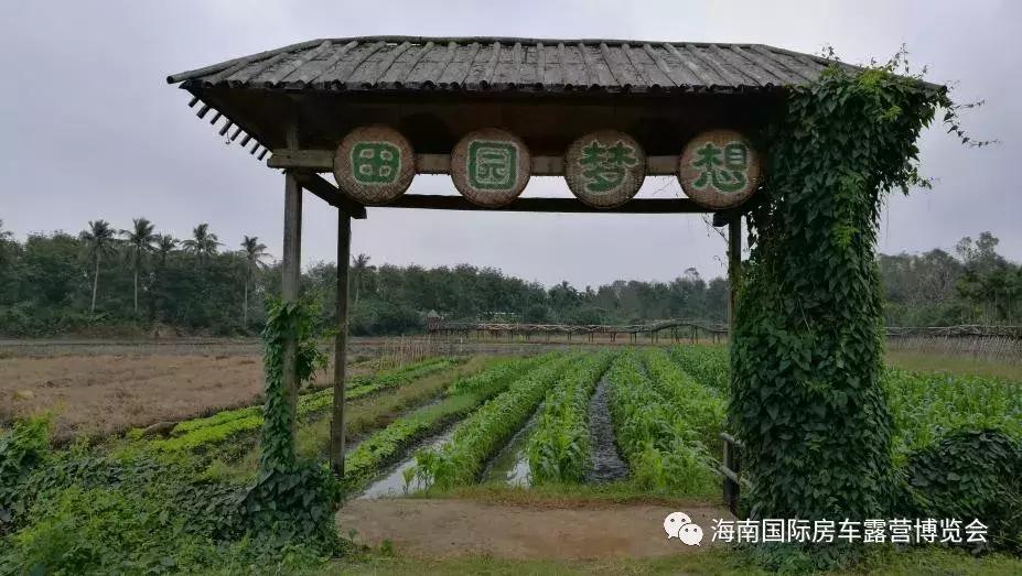 呦喂，老司机们！2018最新最全的海南营地数据更新啦……