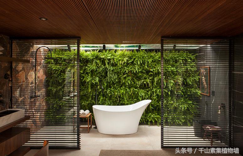 绿色植物墙效果怎么样,最好看的植物墙