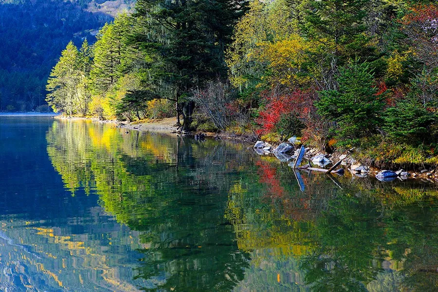 「教师节」木格措免门票，观光车5折、游船票5折！