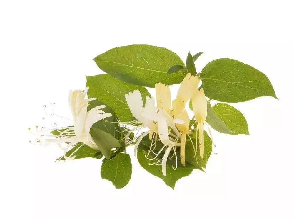 小孩痱子怎么快速消除崔玉涛,宝宝头上起痱子怎么处理崔玉涛