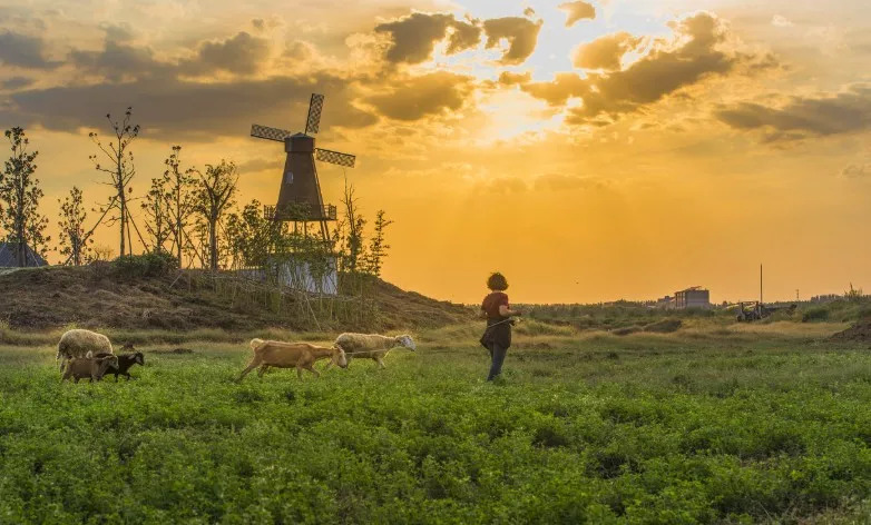 古城祥和庄园,祥和庄园治愈系风景